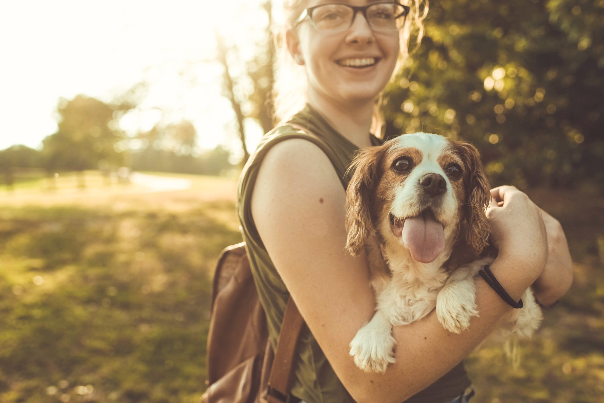 Beneficios de tener un compañero perruno